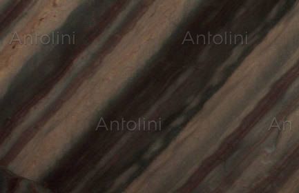 Elegant Brown (Polie)