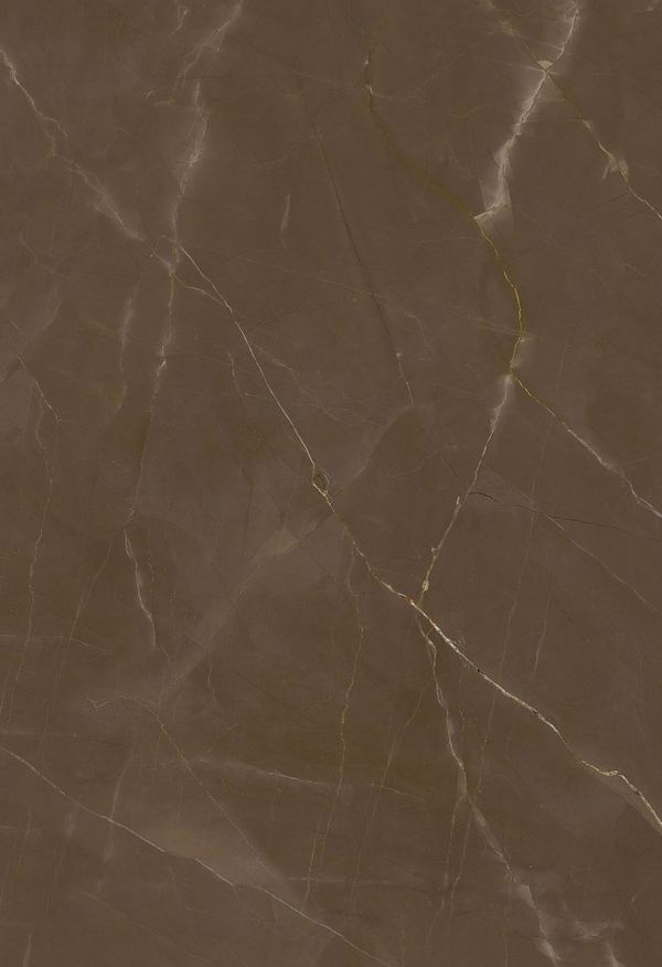 Pulpis (silk)