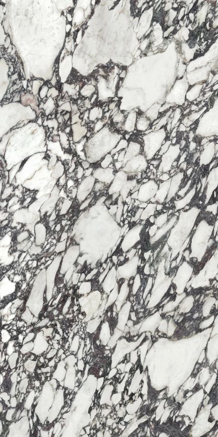 CALACATTA VIOLA (Polished)